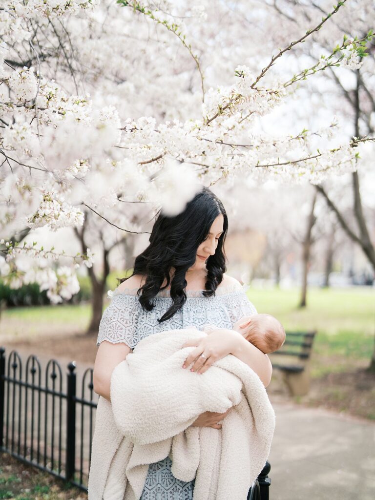A Dark-Haired Mother Gazes Lovingly Down At Her Newborn Baby Wrapped In A Cream Blanket, Standing Beneath Blooming Cherry Blossom Branches At Stanton Park In Washington Dc.