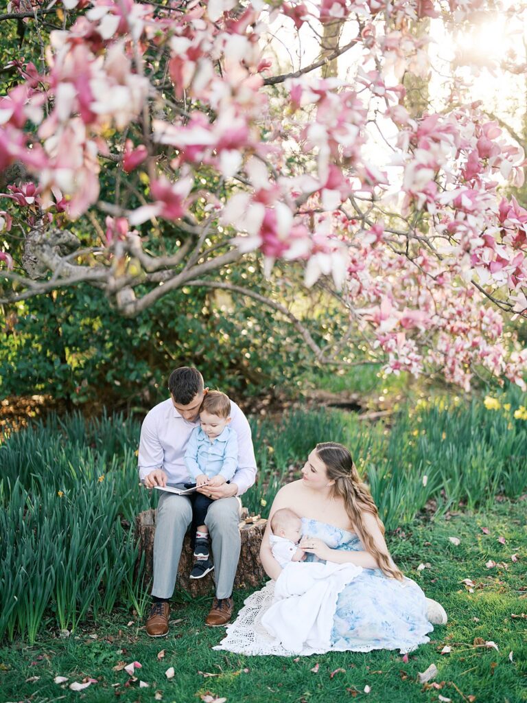 A Family Sits Together Under Vibrant Spring Blooms While Reading And Cuddling Their Baby, A Peaceful Lifestyle Scene That Perfectly Reflects When Is The Best Time To Get Family Photos In The Dmv.