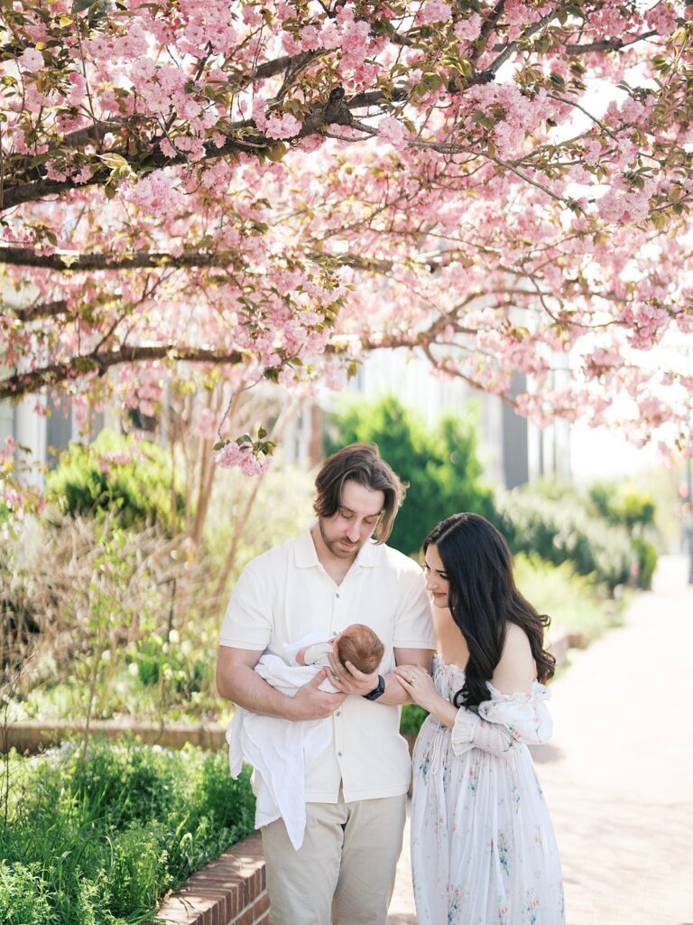 A Mother And Father Strolling Together Under Blooming Pink Cherry Blossom Trees While Cradling Their Newborn Baby In A Dreamy Outdoor Spring Newborn Portrait Session In Washington Dc.