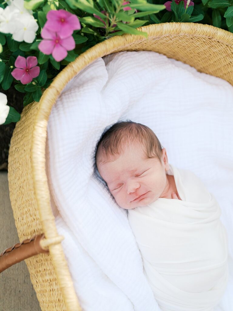 A Swaddled Newborn Sleeps Peacefully In A Wicker Bassinet Surrounded By Pink And White Garden Blooms — A Beautiful Reminder That Even If You Missed The Newborn Window For Photos, An Outdoor Lifestyle Session Can Still Capture This Tiny, Fleeting Season.
