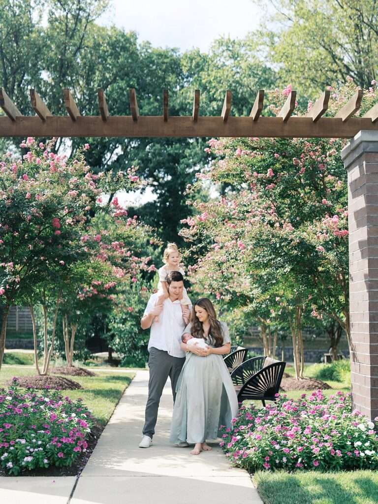 A Family Of Four Stands Beneath A Wooden Pergola Lined With Blooming Pink Crepe Myrtle Trees, The Father With A Toddler On His Shoulders And The Mother Cradling Their Newborn, During A Summer Outdoor Newborn Session.