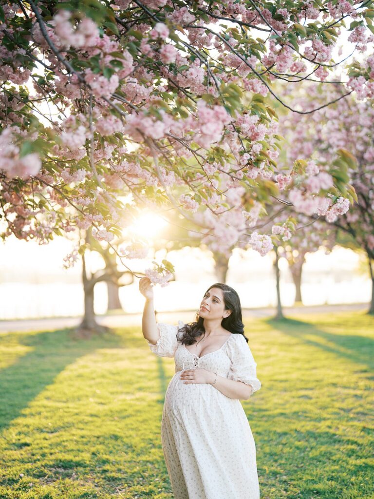 Pregnant Mother Standing Beneath Blooming Pink Kwanzan Cherry Blossoms At Golden Hour In Washington, Dc, Reaching Toward The Flowers During A Romantic Spring Maternity Session.