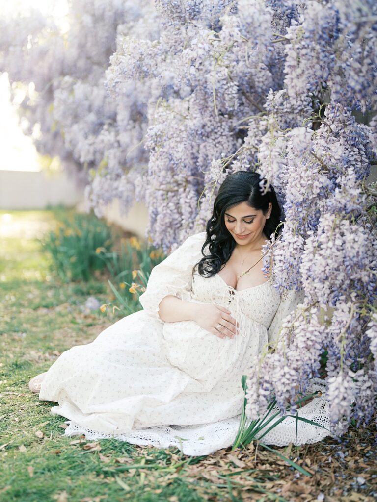 Expectant Mother In A Flowing Cream Dress Sitting Beneath Dreamy Lavender Wisteria Blooms For Ethereal Dc Maternity Portraits Filled With Soft Spring Light.