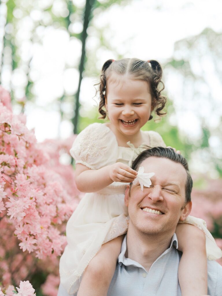 Young Girl Laughing On Her Father’s Shoulders While Holding A Flower During A Candid Family Photography Moment Among Blooming Pink Azaleas.