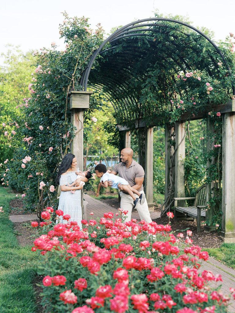 Family Of Four Walking Through A Bon Air Rose Garden In Arlington, Virginia During A Joyful Outdoor Family And Newborn Session With Vibrant Flowers And Dreamy Evening Light.