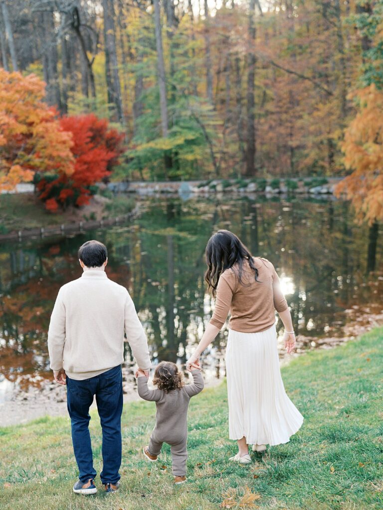 Family Walks Hand In Hand Toward The Pond Under Fiery Fall Color At Brookside Gardens, One Of The Dreamiest Washington Dc Fall Foliage Locations.