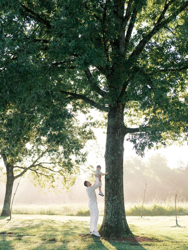 Family Gathered Beneath A Large Shade Tree In The Hazy Morning Light At Manassas Battlefield