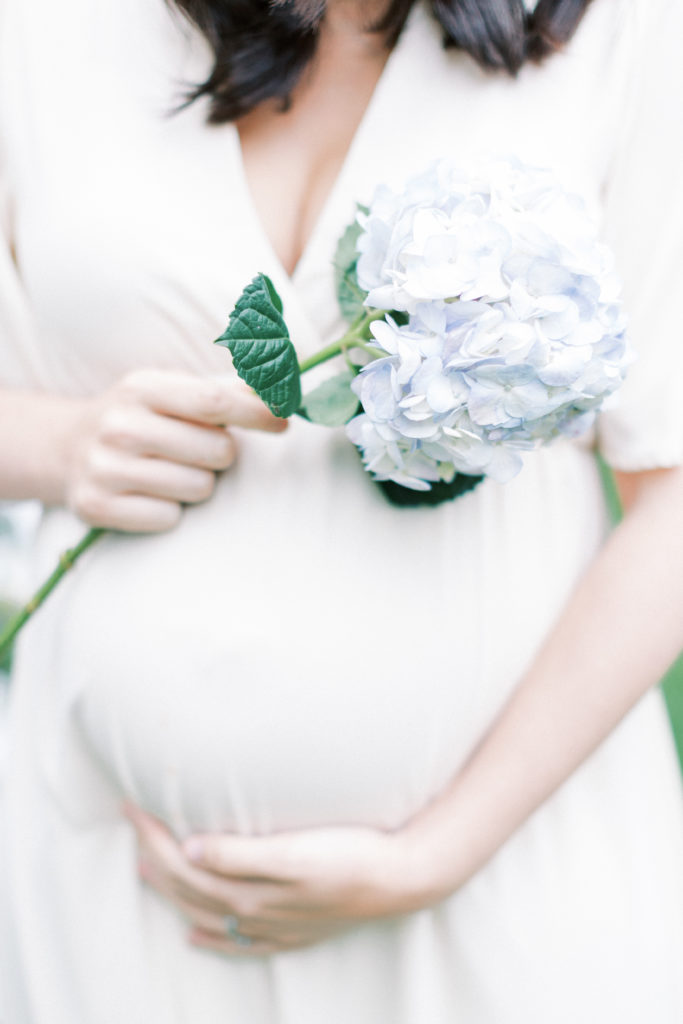 A pregnant woman holding her belly and a hydrangea in a Northern Virginia maternity session.