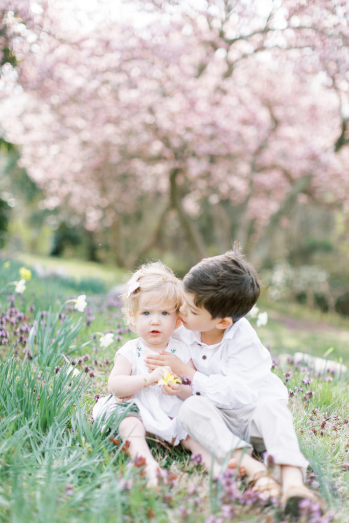 A little boy kisses his sister while sitting in a field of flowers during a Maryland family photo session.