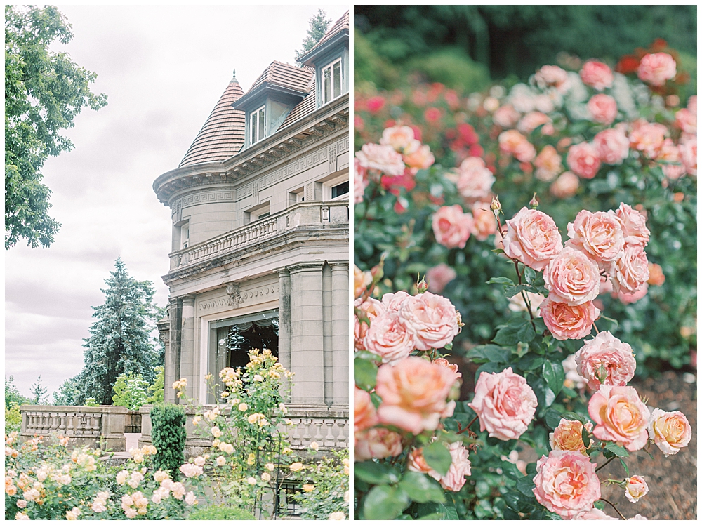 DC Newborn Photographer - rose garden in Portland, Oregon