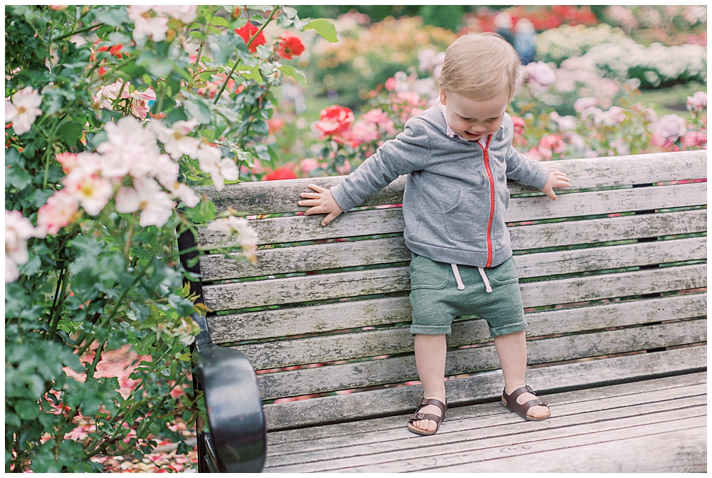 Little boy on bench in rose garden
