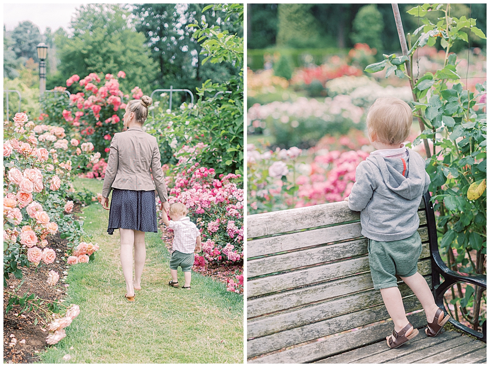 DC Family Photographer Marie Elizabeth Photography walking with her son in a rose garden