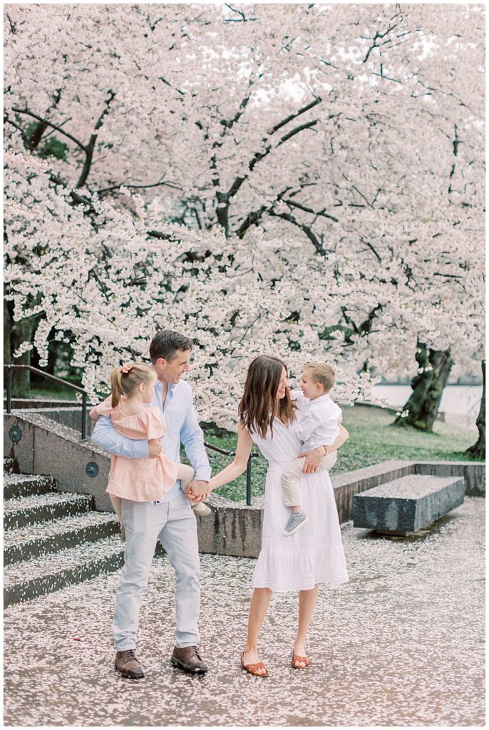Family walks along blossoms in DC