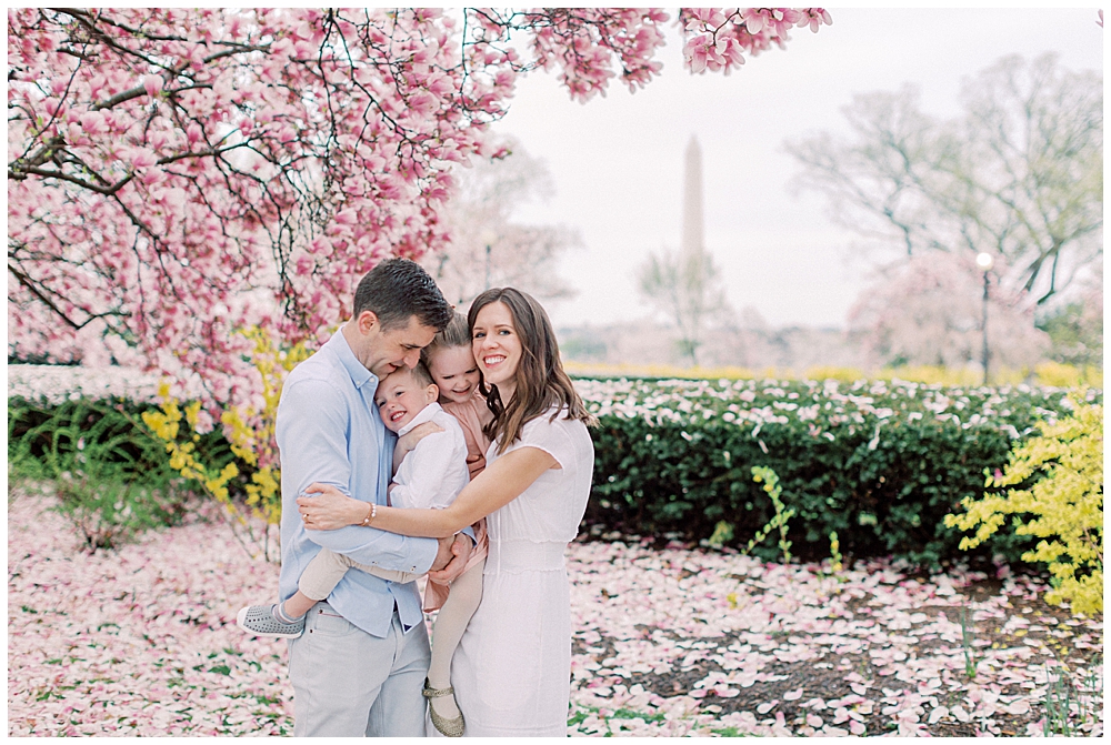 Cherry blossom family session in DC