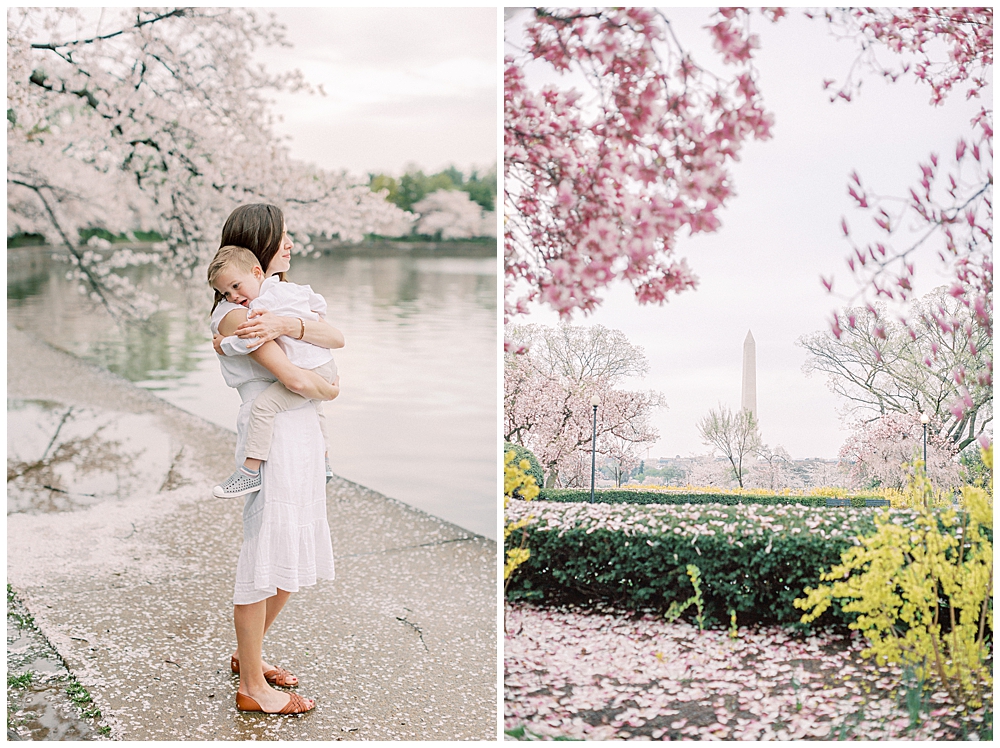 Cherry blossoms in DC photo session