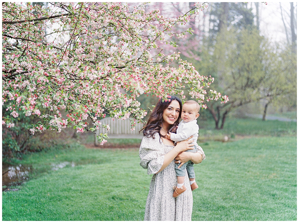 Maryland Family Photographer | Mother holds baby near cherry tree in Brookside Gardens in Silver Spring.