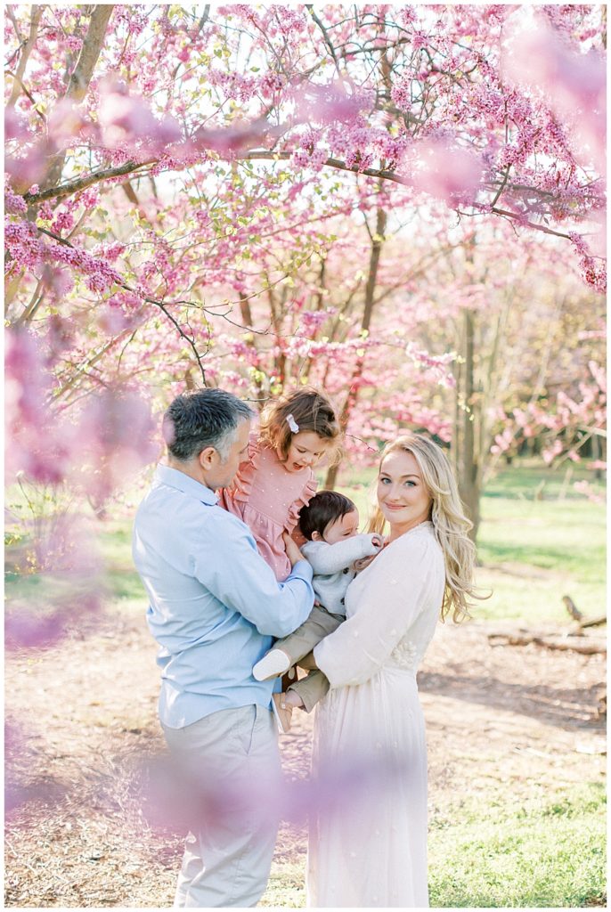 Cherry blossoms in DC at the National Arboretum during a family photo session