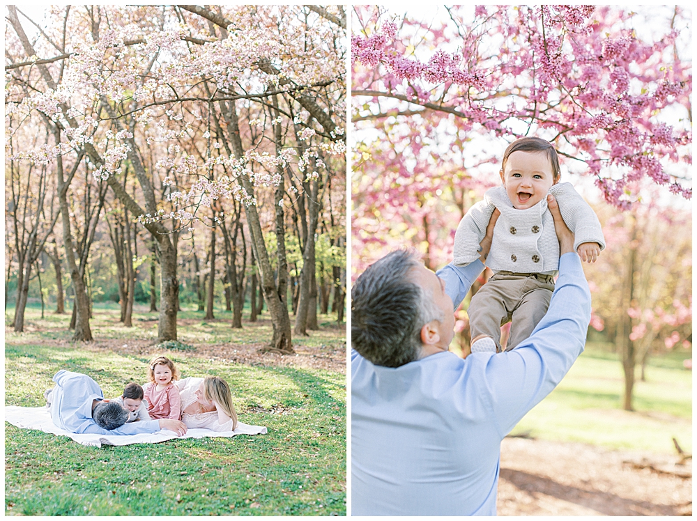 National Arboretum cherry blossoms family session