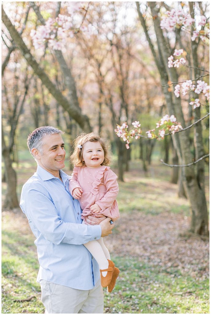 Father holds his daughter up to cherry blossom trees