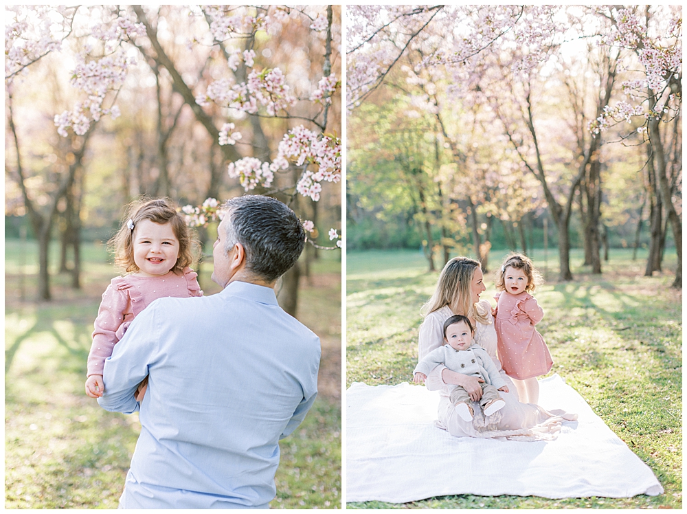 Cherry blossom family session at the National Arboretum