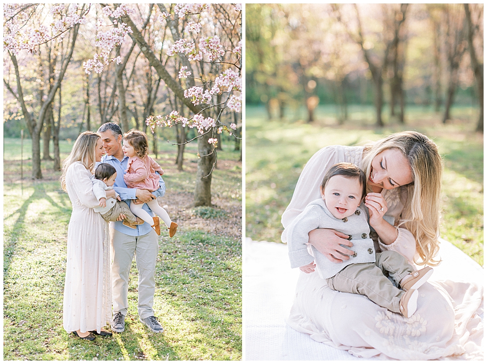 Cherry blossom family session in Washington, D.C. at the National Arboretum