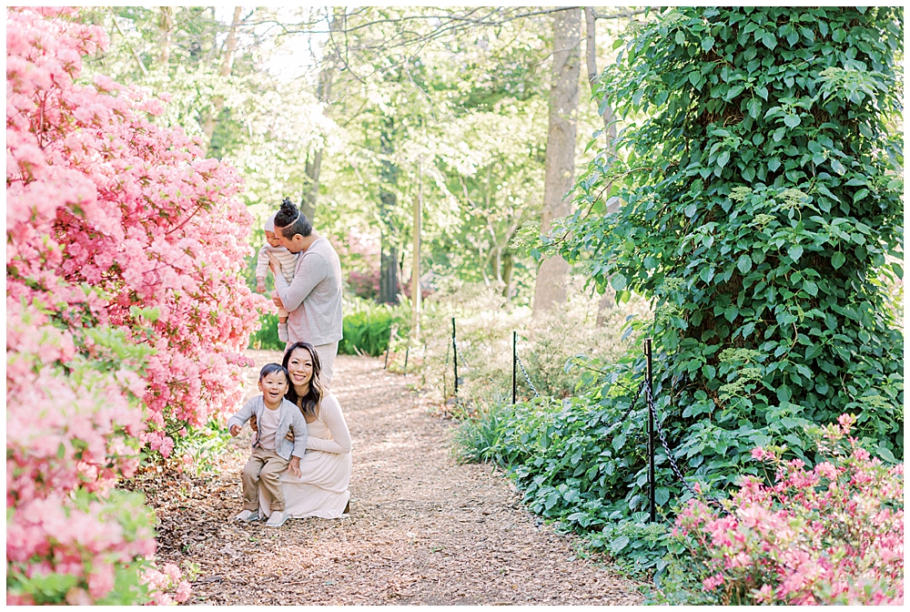 Family sits and stands near pink azaleas at Brookside Gardens in Silver Spring