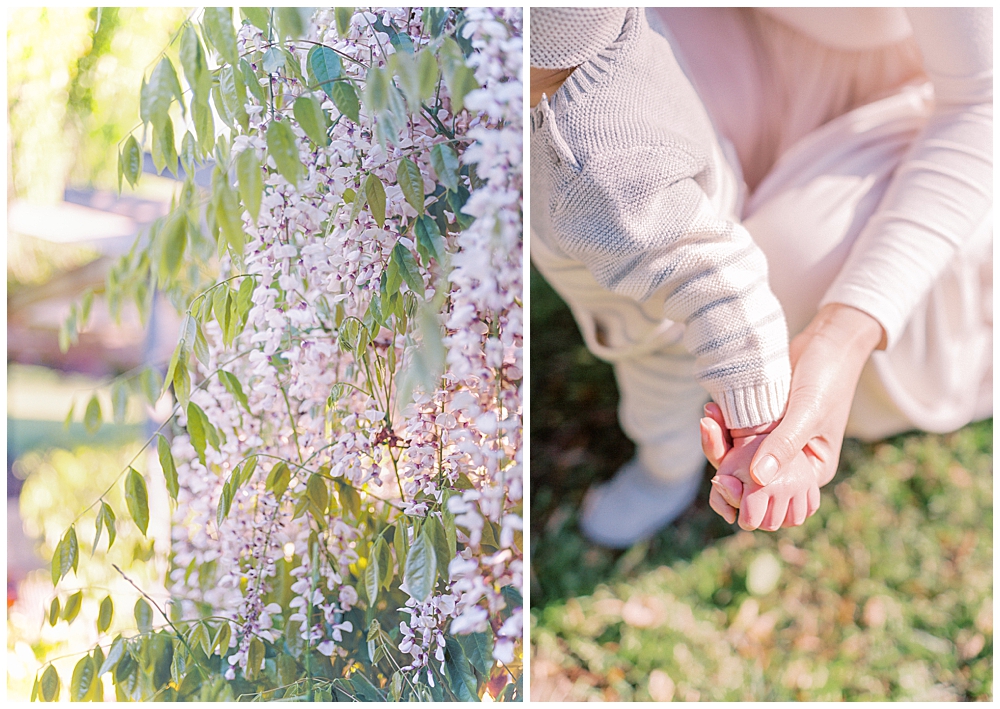 Wisteria and mom holding baby's hand 