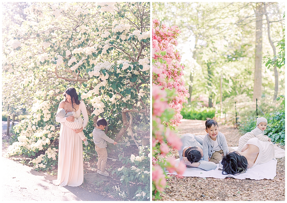 Washington, D.C. Family Photographer | Family lingers around blooms at Brookside Gardens