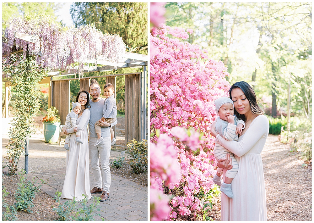Washington, D.C. Family Photographer | Family stands together near the wisteria and mother stands with baby near the azaleas at Brookside Gardens