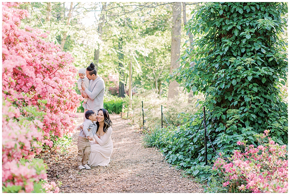 Washington, D.C. Family Photographer | Family sits and stands near pink azaleas at Brookside Gardens
