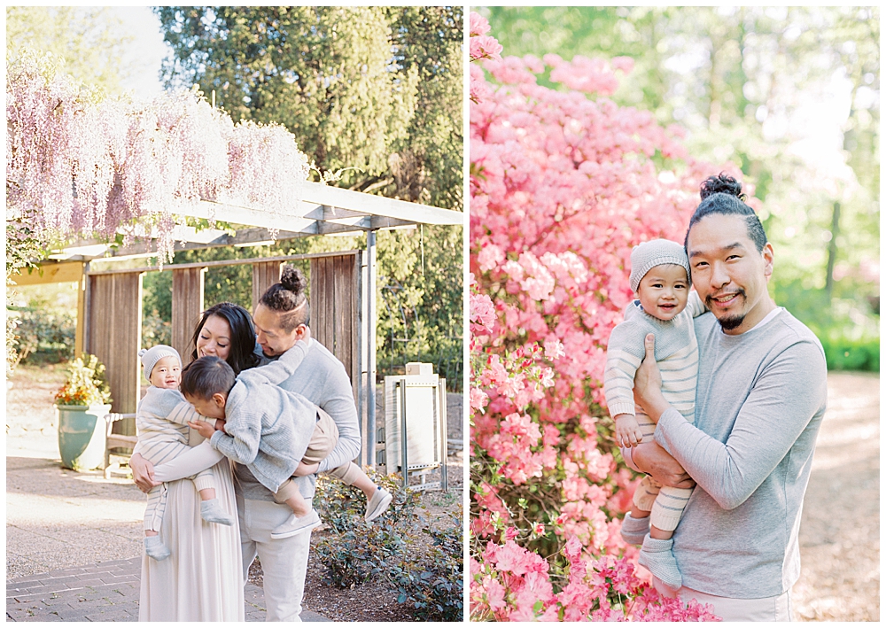 Family photos in spring near the azaleas and wisteria at Brookside Gardens