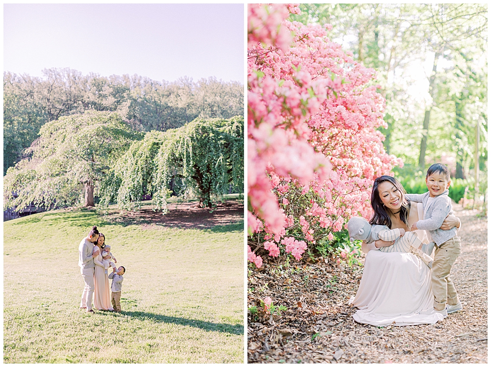 Brookside Gardens spring family photo session