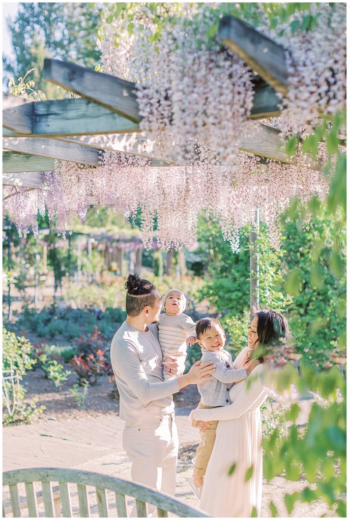 Washington, D.C. Family Photographer - Family stands under the wisteria at Brookside Gardens