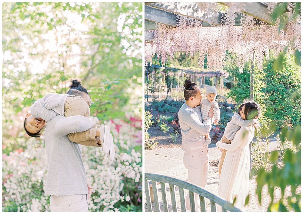 Washington, D.C. Family Photographer | Family photo session in spring at Brookside Gardens