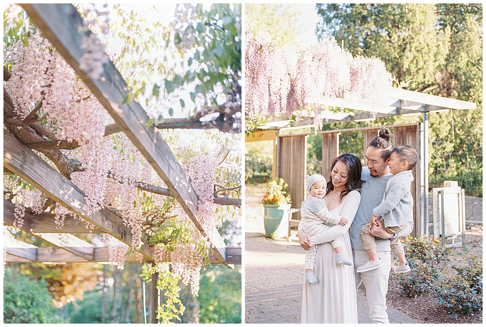 Family photo session by the wisteria at Brookside Gardens in Silver Spring