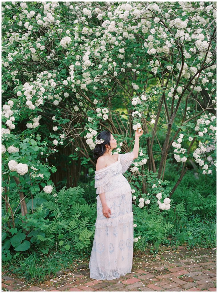 Why You Should Have a Maternity Session | Pregnant woman reaches up for a white flower