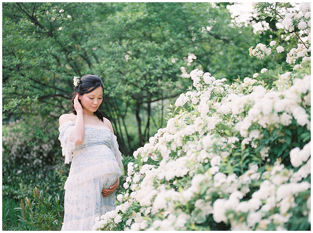Maternity Session at Tudor Place DC | Woman stands near floral bush at Tudor Place