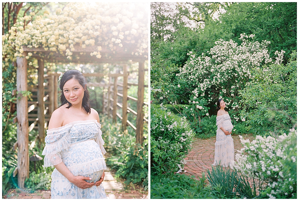 Washington DC Maternity Session at Tudor Place | Pregnant woman stands near flowers at Tudor Place