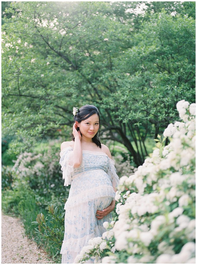 DC Maternity Photographer | Pregnant woman stands near white flowers at Tudor Place in DC
