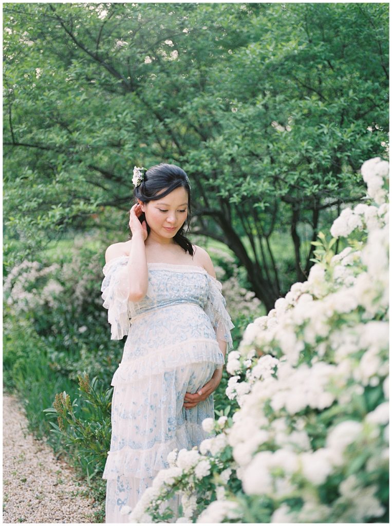 Pregnant woman stands with one hand on belly and one hand behind her ear by white flowers at Tudor Place in DC