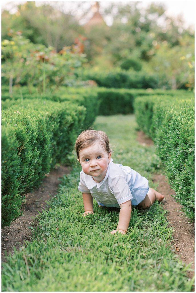 One year old boy crawls through a green garden