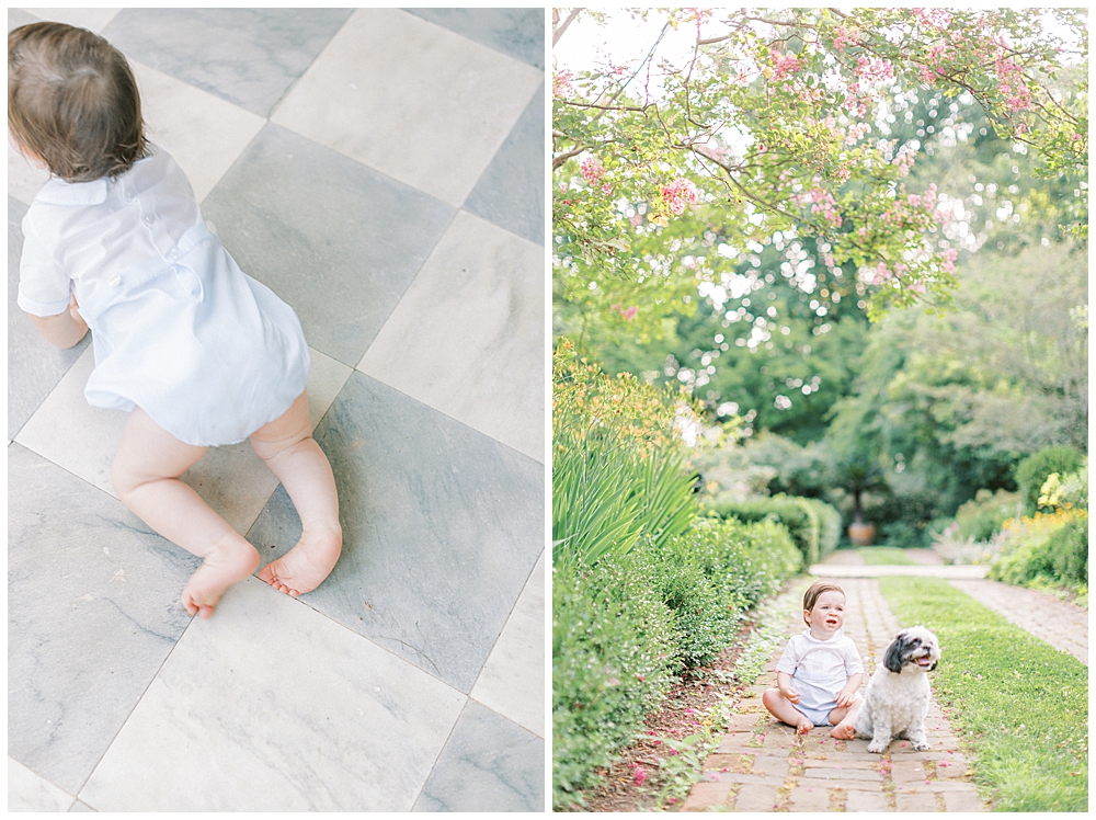 One year old boy and his dog during their DC family photo session