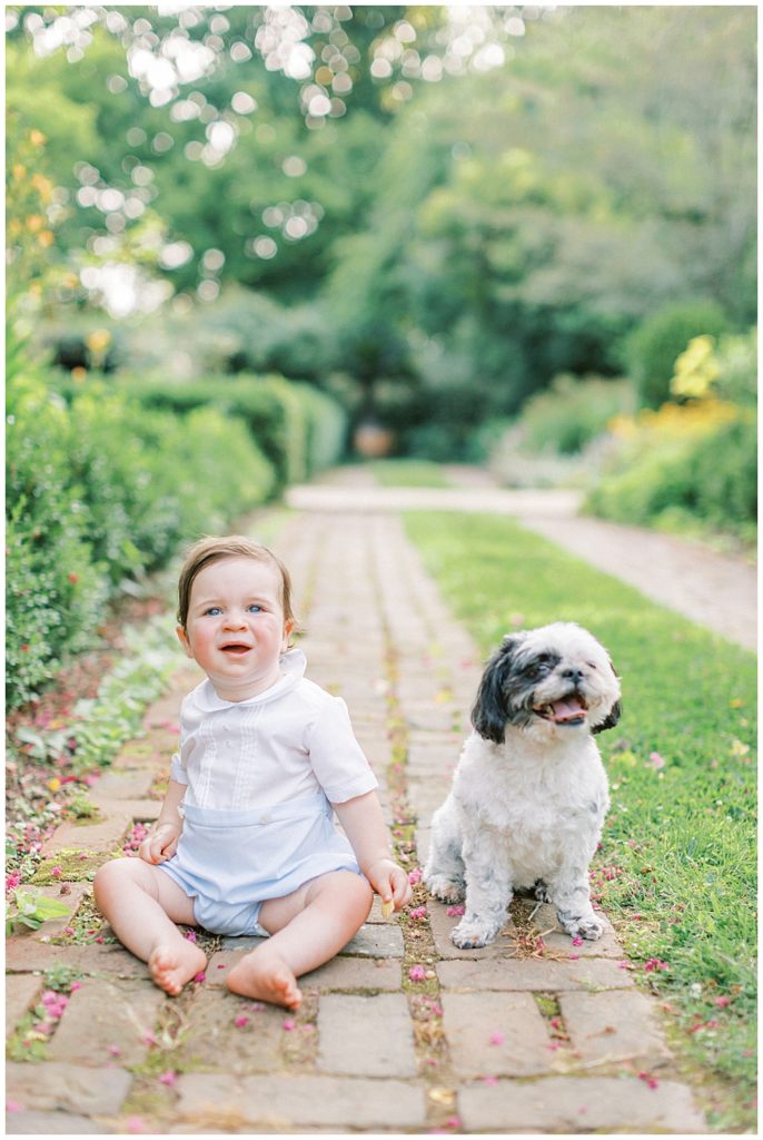 Family session with a baby and a dog