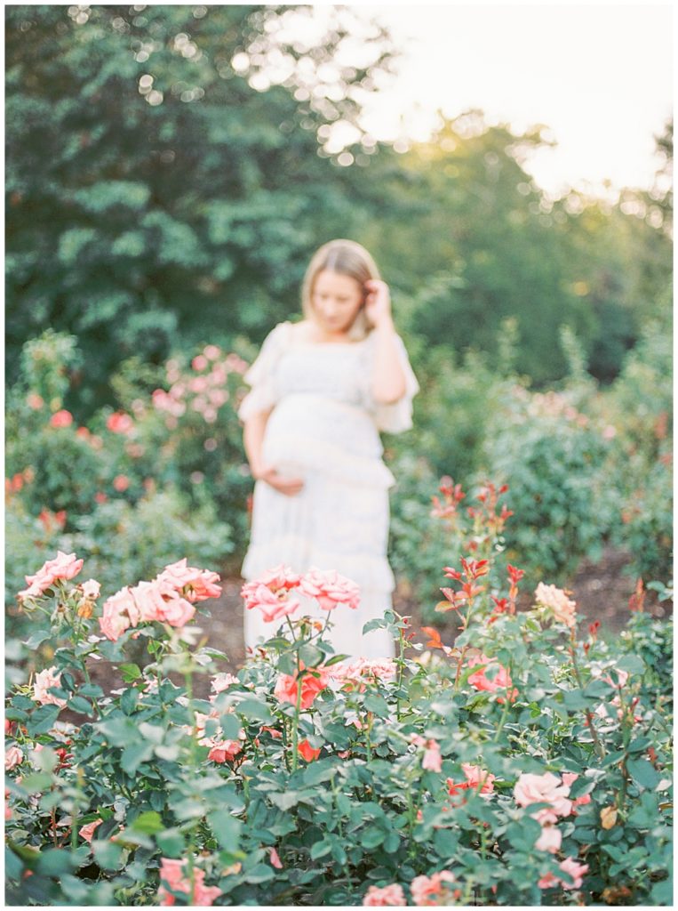 A pregnant mother stands behind roses in Arlington VA