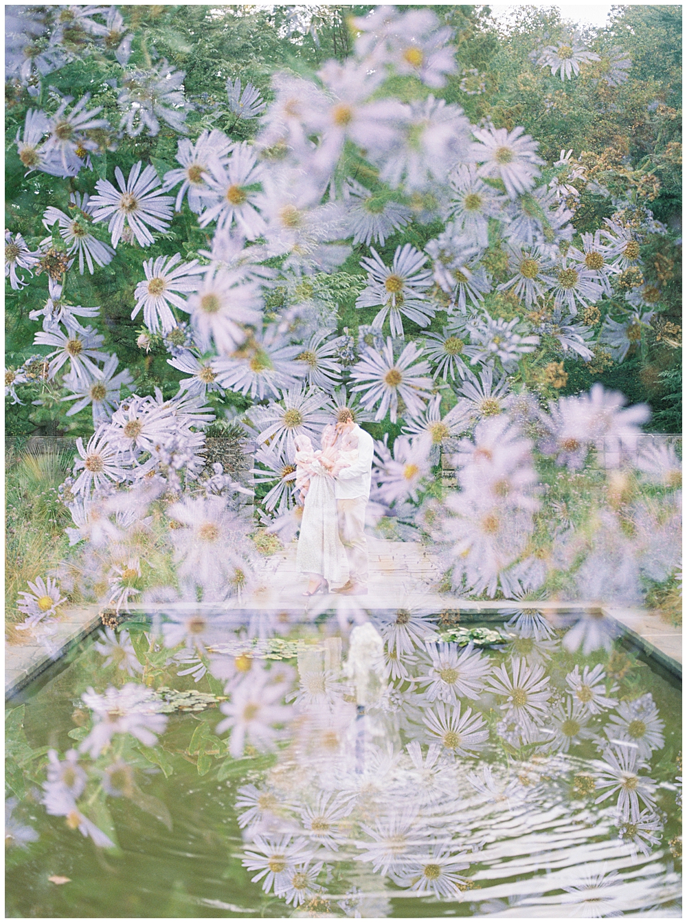 A double exposure of a family in a garden with purple flowers