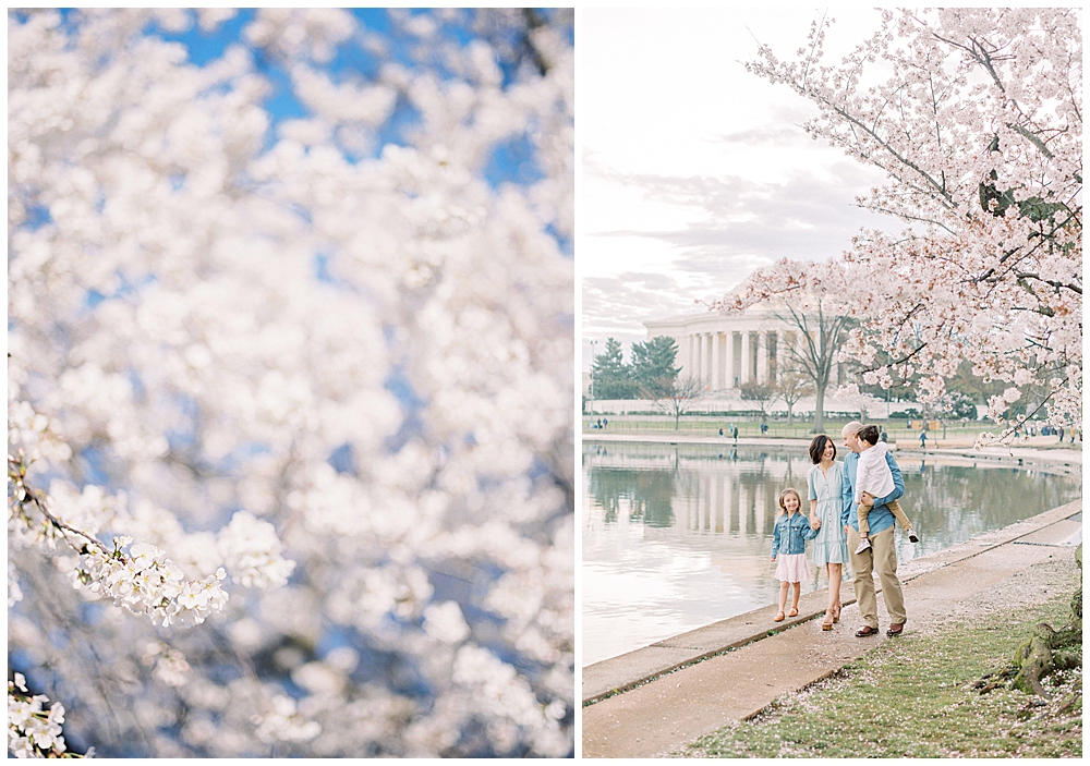 Family session at the Tidal Basin in DC