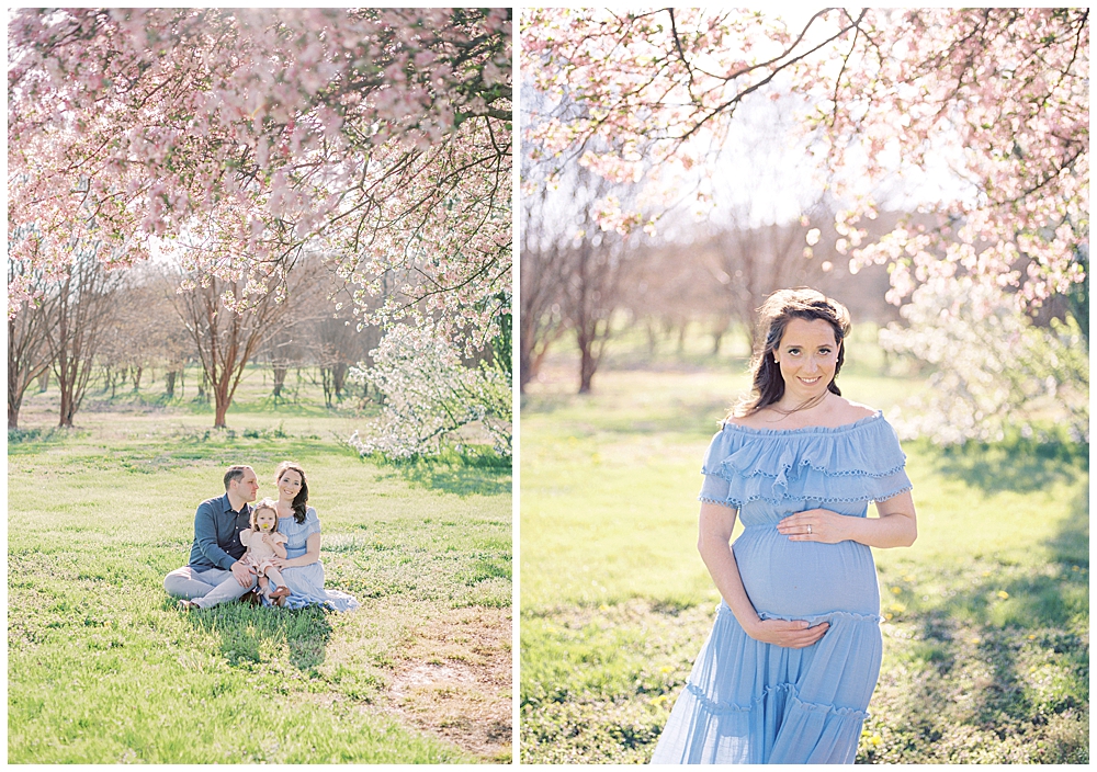 A pregnant woman wearing a blue dress stands underneath the cherry blossom trees with her family