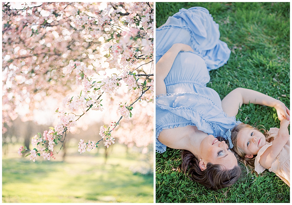 Cherry Blossoms at the National Arboretum Maternity Session