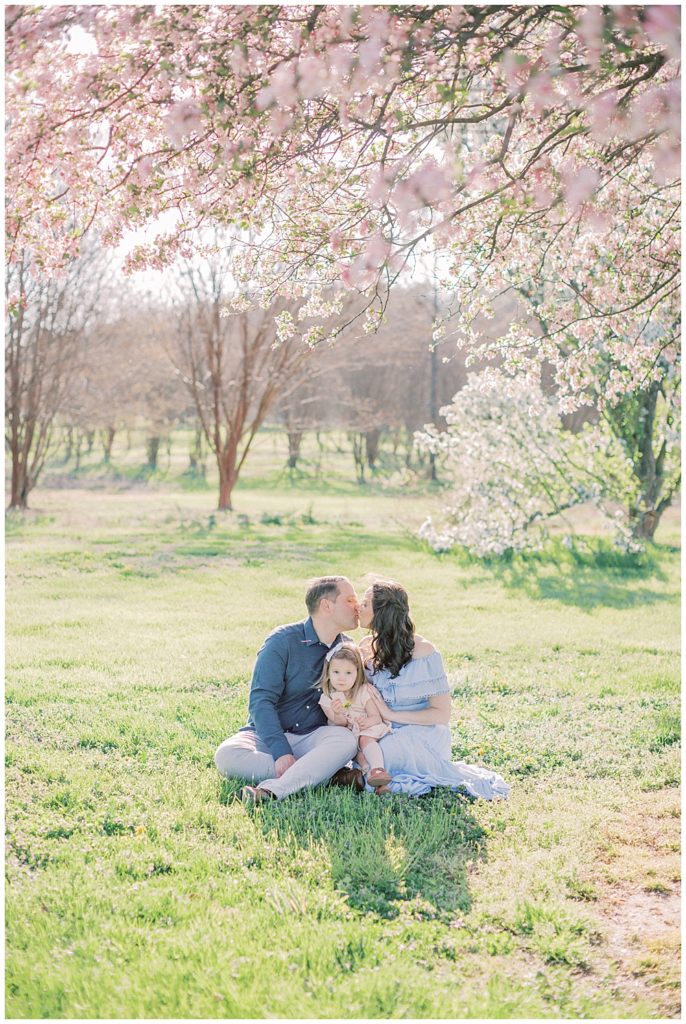 Mother and father sit under a cherry blossom tree and kiss while holding their toddler daughter