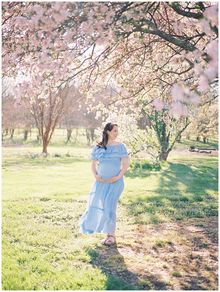 A pregnant mother wearing a blue Baltic Born dress stands under pink cherry blossoms, holding her belly